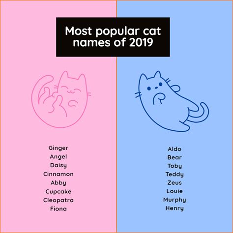 What's Your Cat's Name? - I Can Has Cheezburger?