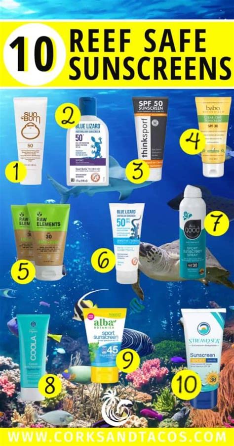 A Guide to Reef Safe Sunscreen and Top 10 Brands