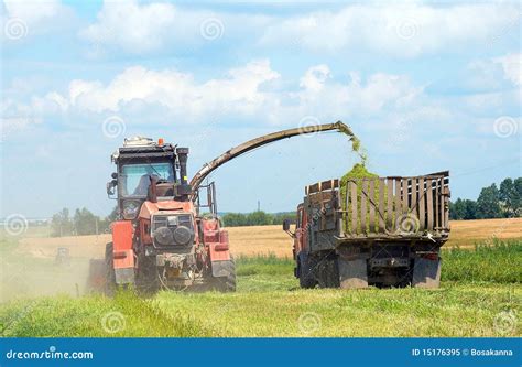 Forage plants harvesting stock image. Image of clouds - 15176395