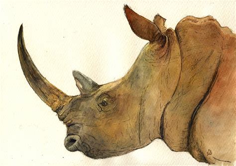 White rhino head study Painting by Juan Bosco - Fine Art America