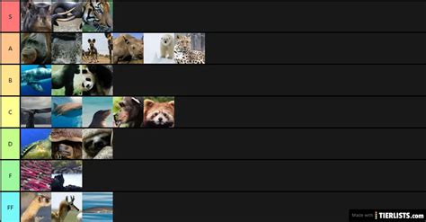 Endangered Animals Tier List Maker - TierLists.com