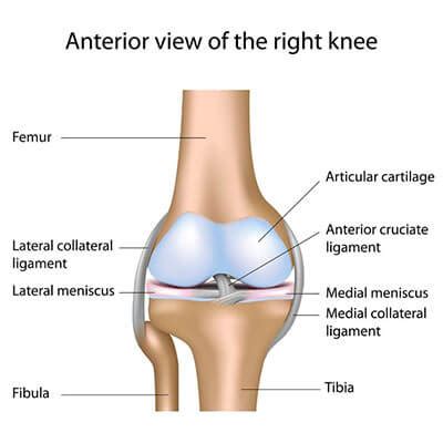 Knee Conditions and Injuries -- Huntington Physical Therapy