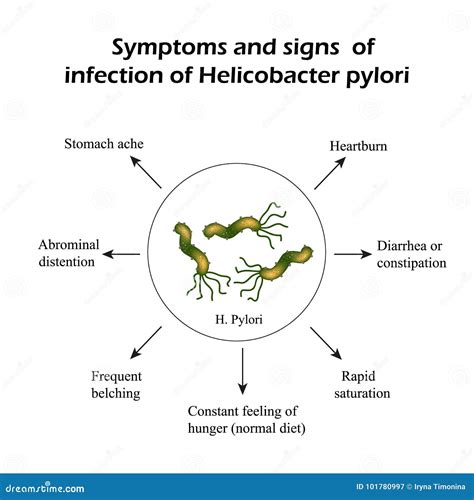 Infection With Helicobacter Pylori. Infographics. Cartoon Vector ...