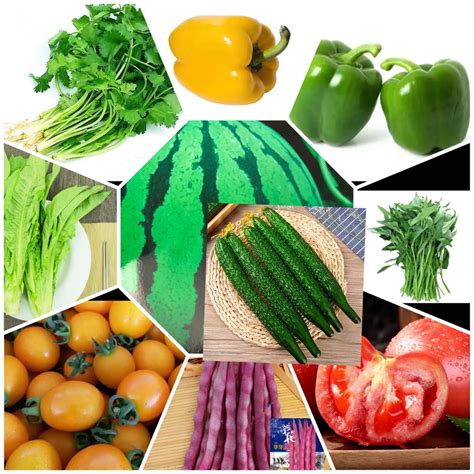 Fruit seed/Vegebale seeds/Green vegetable seeds/organic seeds/leafy ...