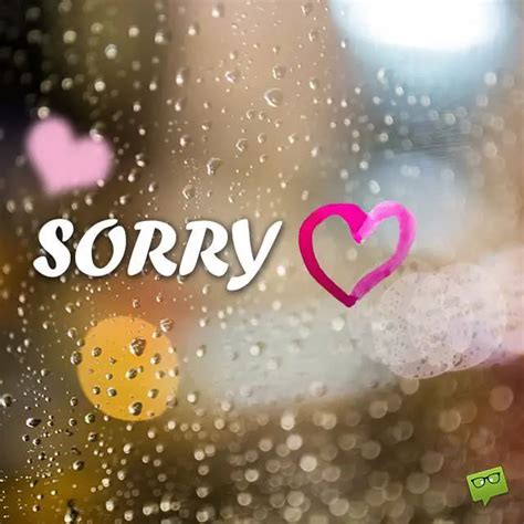 I’m Sorry Quotes | All Apologies