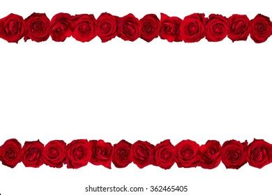 23,195 Row Roses Images, Stock Photos, 3D objects, & Vectors | Shutterstock