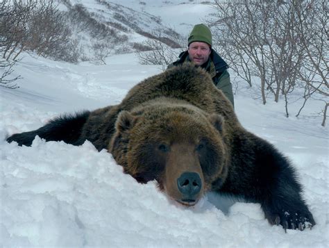 Brown Bear (Kamchatka) - Shikar Safaris