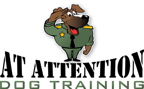 At Attention Dog Training - Professional Dog Trainer in PA