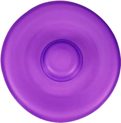 Download Purple Frisbee Top View | Wallpapers.com