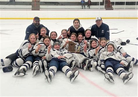 3 Bemidji Youth Hockey teams heading to state