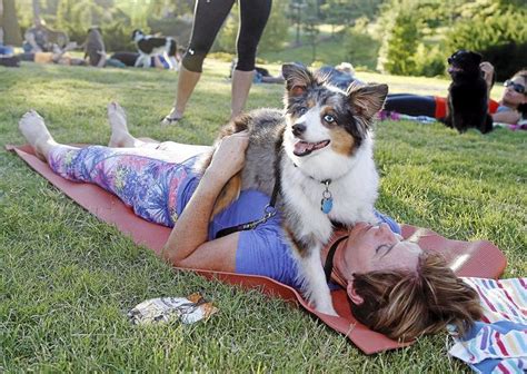 How to Actually Do Yoga with Your Dog | The Dog People by Rover.com