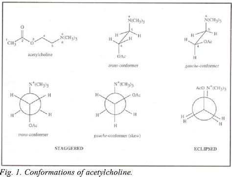 Figure 1 from The Influence of Conformational Isomerism on Drug Action and Design | Semantic Scholar