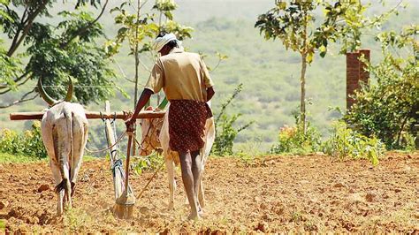 Agriculture | Prime minister stresses on natural farming methods ...