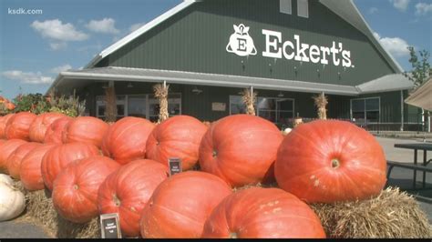 The seven generations behind Eckert's family farm | ksdk.com