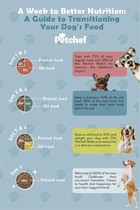 Dog Food Transition Guide | Freelancer