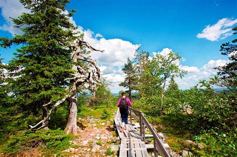 Hiking - Lapland Welcome in Finland