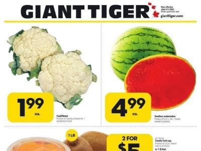 Giant Tiger store - 2735 Avonhurst Drive, Regina, Saskatchewan, Canada - Hours, location, flyers ...