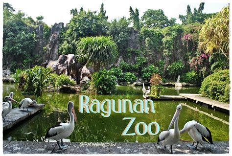 Ragunan Zoo ~ Malay Travel and Tour