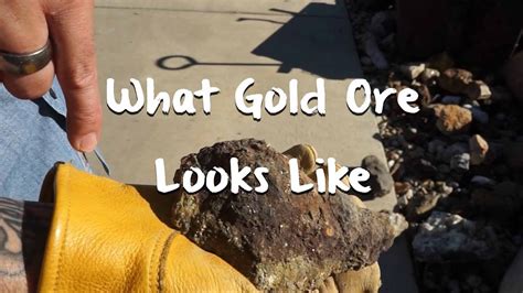 What Gold Ore Looks Like - Mining 101 - Gold Rush Exped... | Doovi