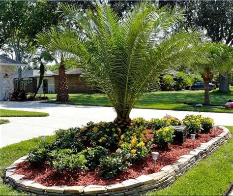 Cute Palm Gardening Ideas For Front Yard 53 | Trees for front yard, Palm trees landscaping ...