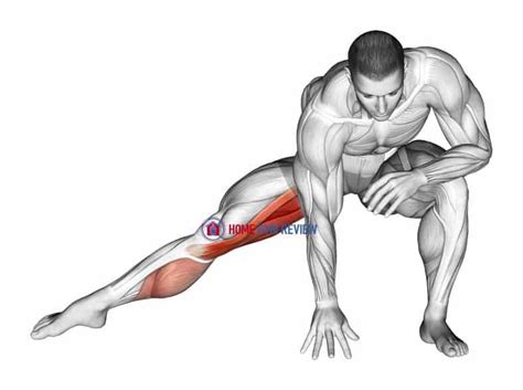 Standing Bent Knee Hip Adductor Stretch - Home Gym Review