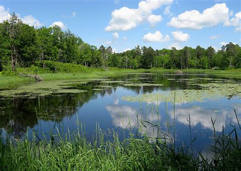 An Education: American Gems: Itasca State Park