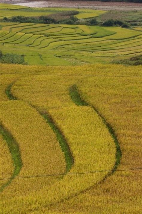 China, Yunnan in Autumn