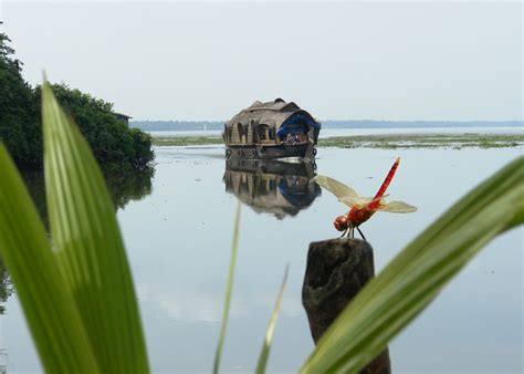 Kerala's backwaters: See India at a relaxing pace | CNN