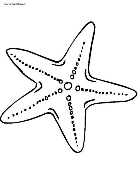 39+ Starfish Coloring Page Easy | Free Wallpaper