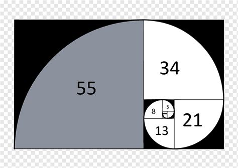 Angka Fibonacci Rasio emas Urutan Spiral Matematika, Matematika, sudut, teks, persegi panjang ...