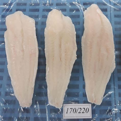 Panga Fish Fillet - Pangasius Hypophthalmus | Eximany