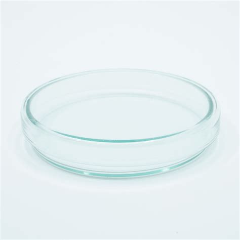 Hybrid Glass Petri Dish (Various Sizes) – MycoPunks