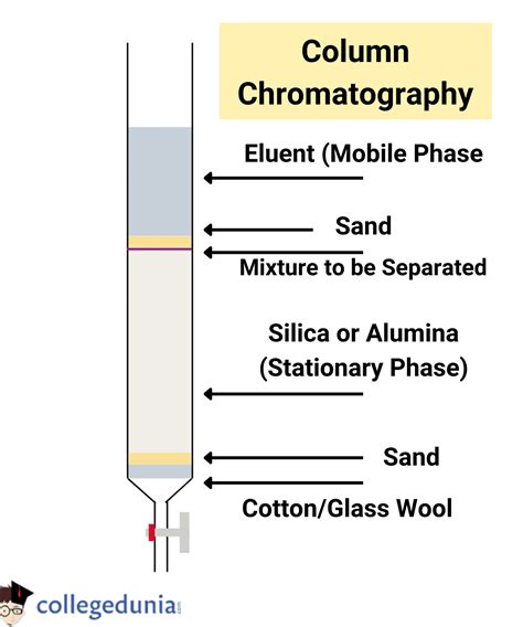 Chromatography Description Chemistry at Ruth Morales blog