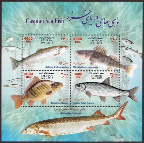 Iran 2013 Caspian Sea Fish M/S MNH 2013 Marine Life