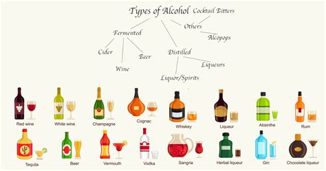 The Different Types of Alcohol — A Comprehensive Guide - Crafty Bartending