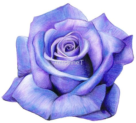 "Purple Rose Drawing " by ArtsinneT | Redbubble