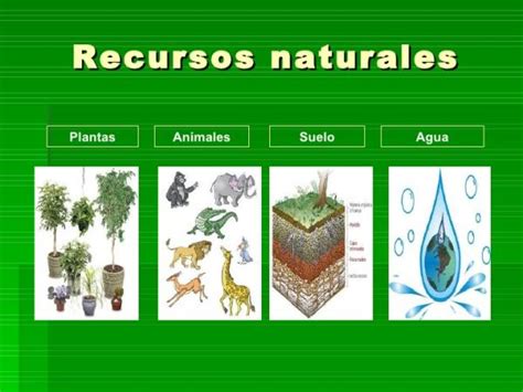 Recursos naturales - ¡¡Con ejemplos!!