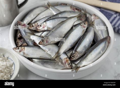 Fresh raw European sprat on a dish Stock Photo - Alamy