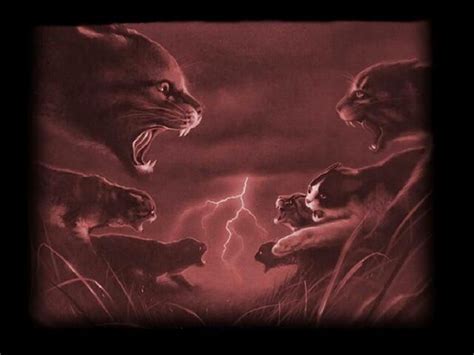 Image - Warrior cat fight.jpg | Warriors Wiki | FANDOM powered by Wikia