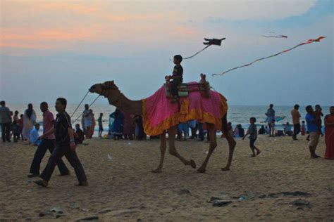 Kozhikode Beach | Places to visit in Kozhikode - HappyTrips | Times of India Travel