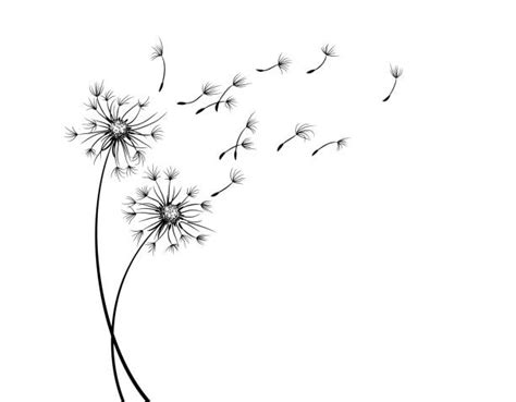 Dandelion Seeds Clipart Black