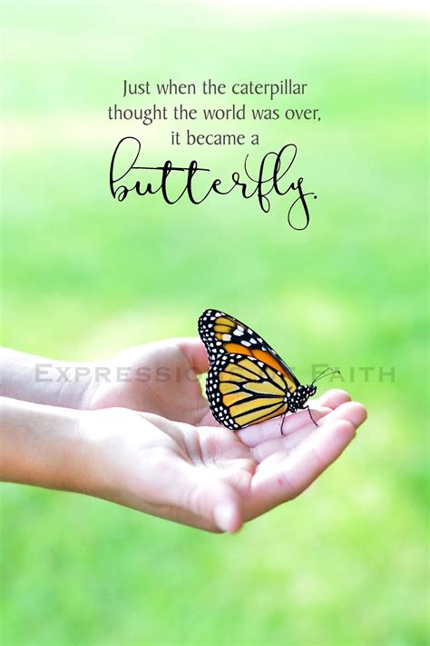 Caterpillar To Butterfly Quote - ShortQuotes.cc