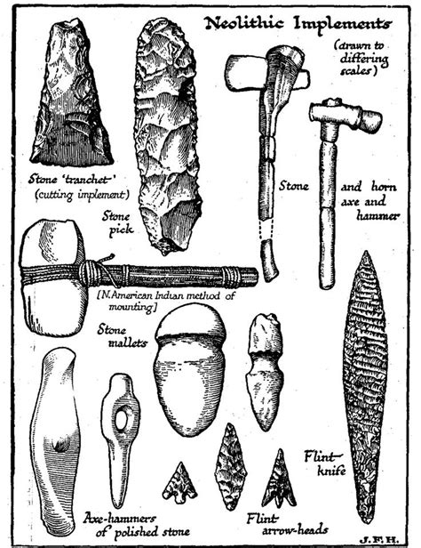 The New Stone Age | Stone age art, Early humans tools, Stone age