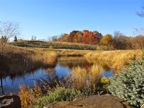 T h e | D e e p | M i d d l e: Fall in Minnesota & Lincoln's Wilderness Park