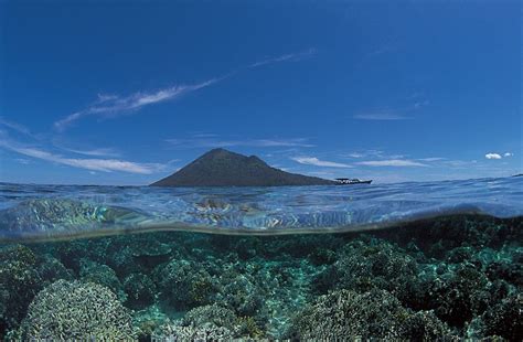 Bunaken Snorkeling Trip - Manado Safari Tours & Travel