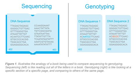 Types of PCR used for Genetic Research: Applications where different ...