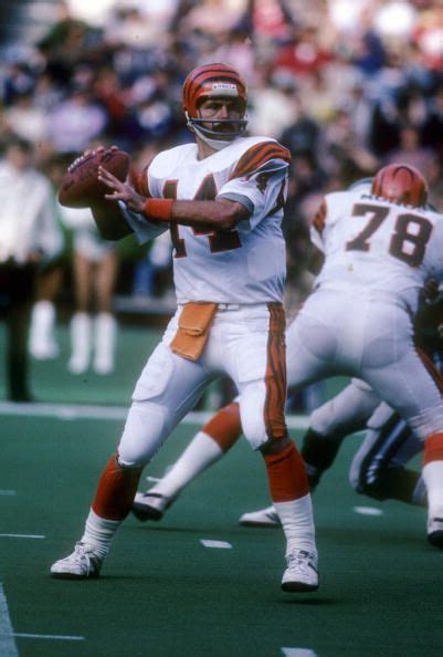 Ken Anderson Bengals Pictures And Photos | Ken anderson, Bengals, Anderson