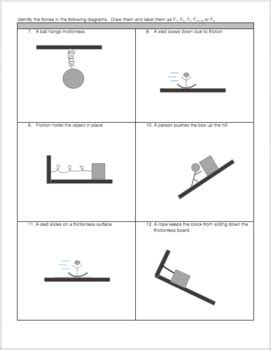 Free Body Diagram & Net Force Practice Worksheet | TpT