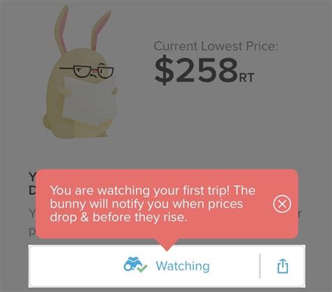 Hopper App Helps You Save Money On Flights Year-Round