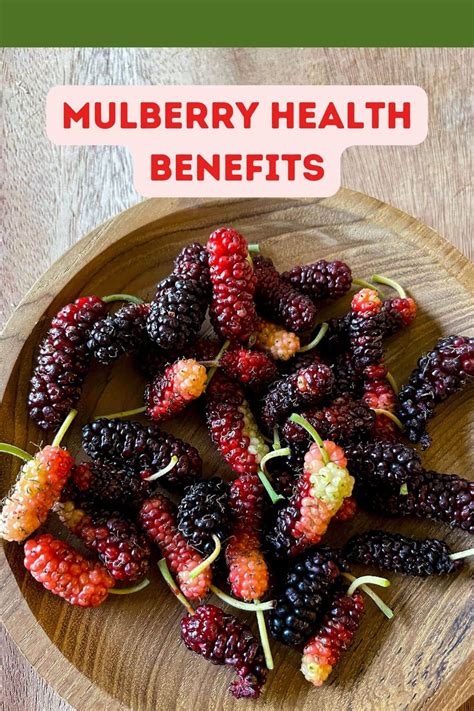 Mulberry Health Benefits - Healthier Steps